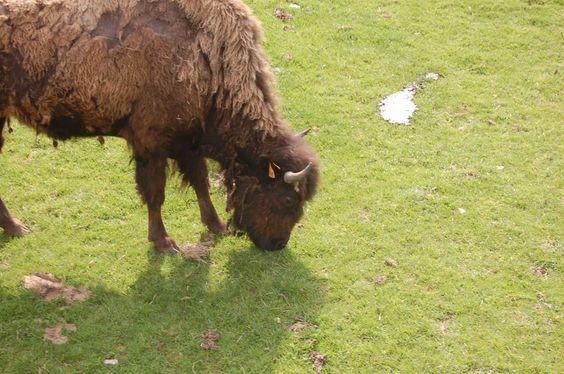 DSC_0079 [50%] [50%].JPG